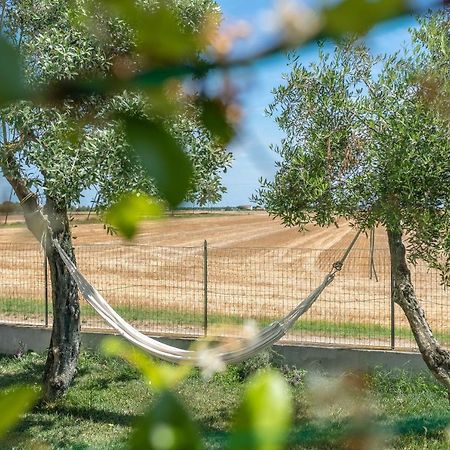 Ortopi Country Canapa House ポルト・レカナーティ エクステリア 写真