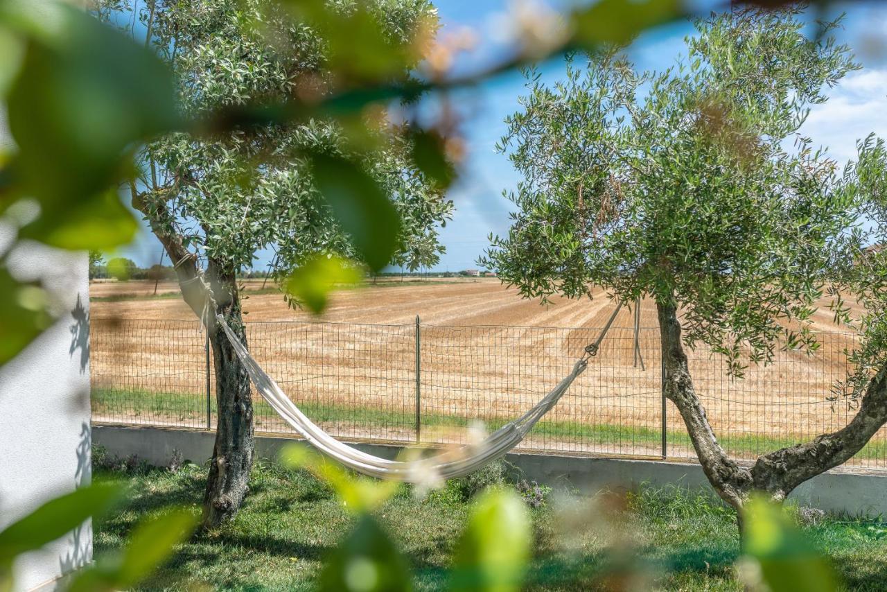 Ortopi Country Canapa House ポルト・レカナーティ エクステリア 写真